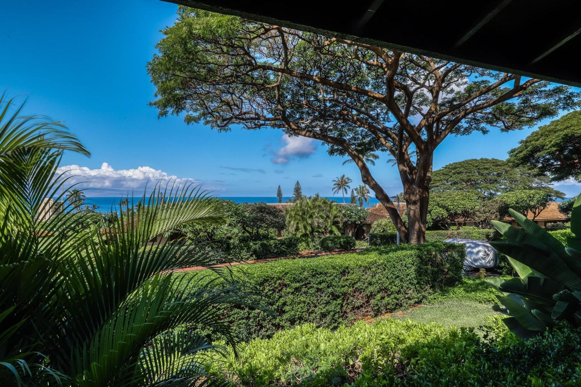 Kaanapali Plantation Condominiums Pokój zdjęcie